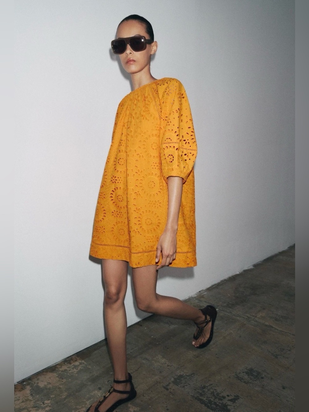 Zara ZW Collection Embroidered/Eyelet Puff-Sleeve Short Mini Dress
